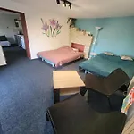 Apartamencik Pod Krokusem 2 דירה *