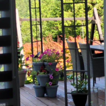 Apartamencik Pod Krokusem 2 Daire Rabka-Zdrój